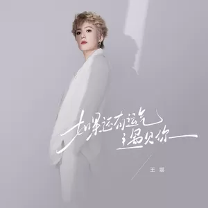 如果还有运气遇见你(伴奏)