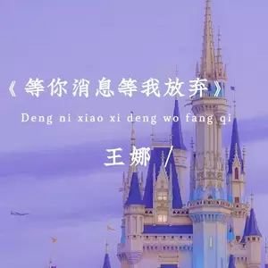 王娜 - 等你消息等我放弃