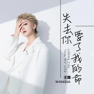 失去你要了我的命(伴奏)