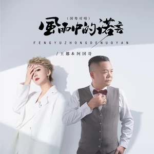 风雨中的诺言（DJ京仔国粤对唱）