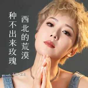 西北的荒漠种不出来玫瑰(伴奏)