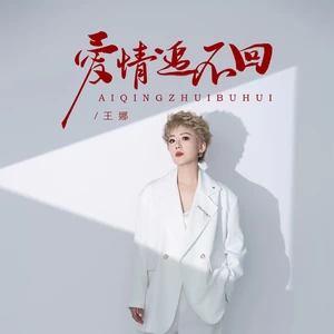 爱情追不回（DJBanan版）