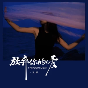 放弃你的爱（DJBanan版）