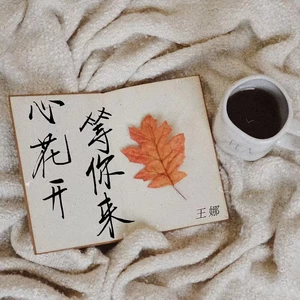 王娜 - 心花开 等你来(DJ童波版伴奏)