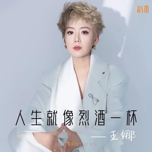 王娜 - 人生就像烈酒一杯