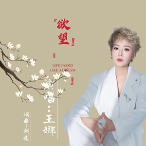 王娜 - 欲望(dj版)(伴奏)