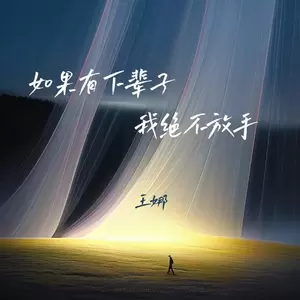 王娜 - 如果有下辈子我绝不放手