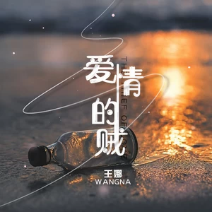 爱情的贼(DJ默涵版)