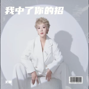 我中了你的招-DJ西米版