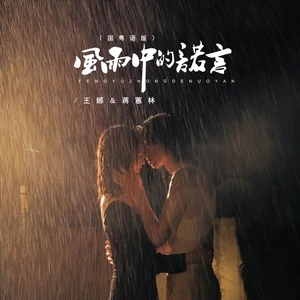 王娜/蒋蕙林 - 风雨中的诺言（国粤语版）