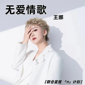 无爱情歌(DJ阿智版伴奏)