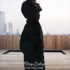 王力宏/Lara Fabian - Light Of My Life