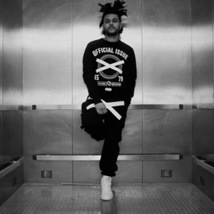 The Weeknd - Or Nah(Remix)