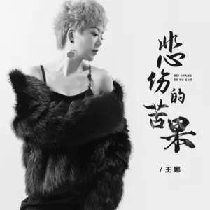 王娜 - 悲伤的苦果(DJ浩然版伴奏)