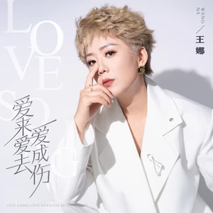 王娜 - 爱来爱去爱成伤
