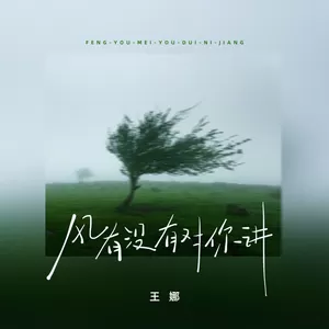 风有没有对你讲(DJ浩然版)