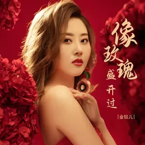 金钰儿 - 像玫瑰盛开过(DJ彭锐版)