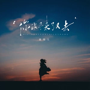 金钰儿 - 你像风来了又去(伴奏)