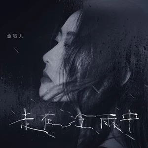 金钰儿 - 走在冷雨中