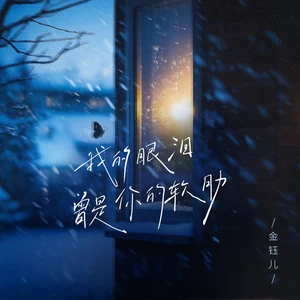 金钰儿 - 我的眼泪曾是你的软肋(DJ豪大大版伴奏)