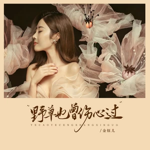 金钰儿 - 野草也曾伤心过(Live大合唱)(伴奏)