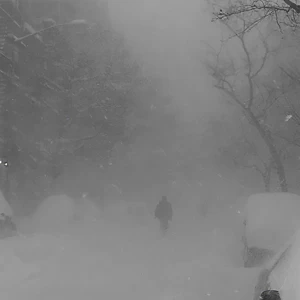 Cashmere Cat/The Weeknd/Francis and the Lights - Wild Love