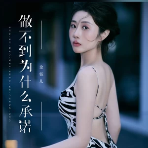 金钰儿 - 做不到为什么承诺