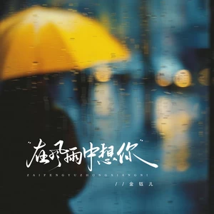 金钰儿 - 在风雨中想你