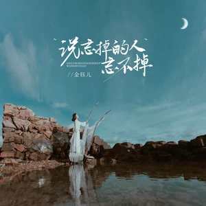 说忘掉的人忘不掉（DJBana版）(伴奏)