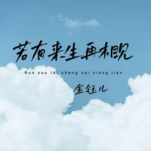 若有来生再相见(伴奏)