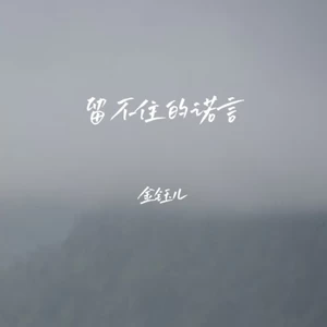 留不住的诺言(DJ长梦版)