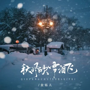 金钰儿 - 秋风吹雪泪飞(伴奏)