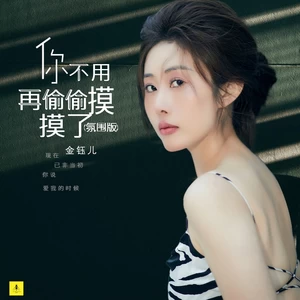 你不用再偷偷摸摸了(氛围版)