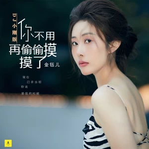 金钰儿 - 你不用再偷偷摸摸了(DJ小刚广场舞版伴奏)