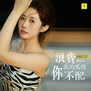 浪费我的感情你不配(DJ小刚广场舞版伴奏)