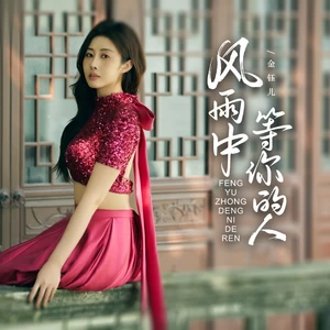 风雨中等你的人(伴奏)