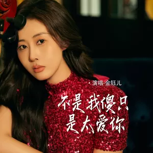 不是我傻只是太爱你(DJ阿能版伴奏)