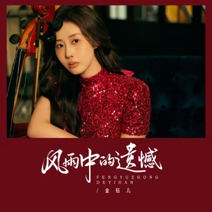 风雨中的遗憾（DJ京仔版）(伴奏)