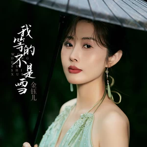 我等的不是雪(DJ默涵版伴奏)