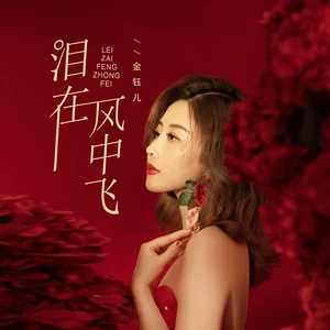 泪在风中飞(DJBanan版)