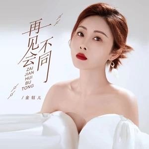 再见会不同（DJBanan版）(伴奏)