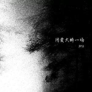 pro - 用爱大醉一场