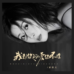 我对你的爱你不懂（DJBanan版）(伴奏)