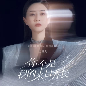 你不是我的来日方长（DJBanan版）(伴奏)