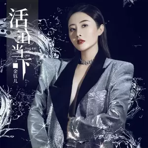 金钰儿 - 活在当下(伴奏)