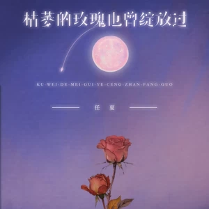 任夏 - 枯萎的玫瑰也曾绽放过(DJEva版伴奏)