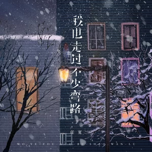 任夏 - 我也走过不少弯路