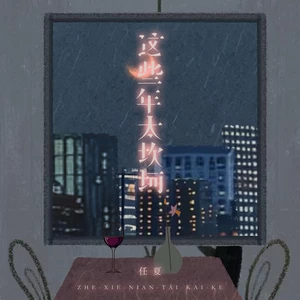 任夏 - 这些年太坎坷(伴奏)
