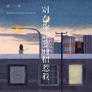 别在你寂寞时招惹我(DJEva版)