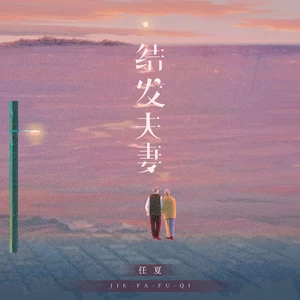 任夏 - 结发夫妻(伴奏)
